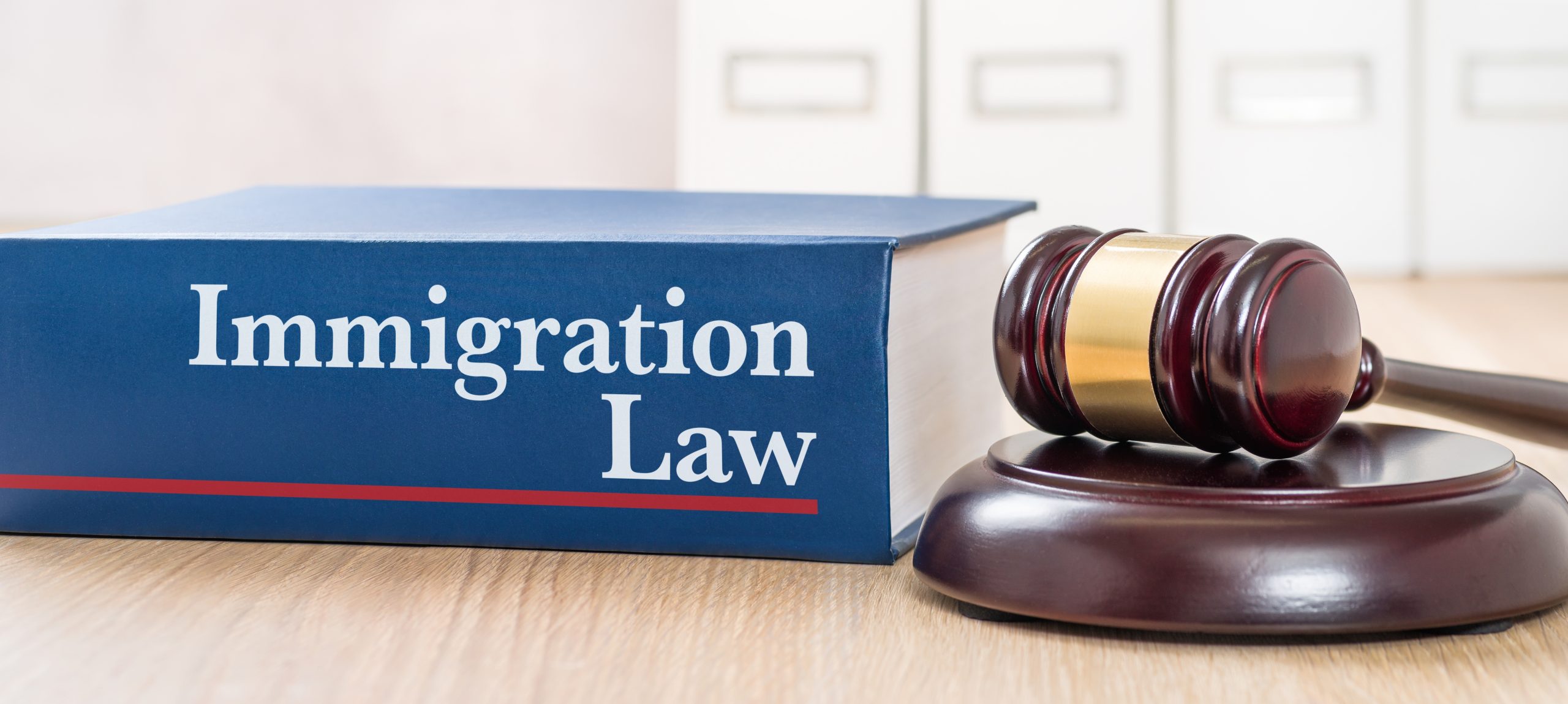 Immigration lawyer providing legal consultations for Los Angeles area residents